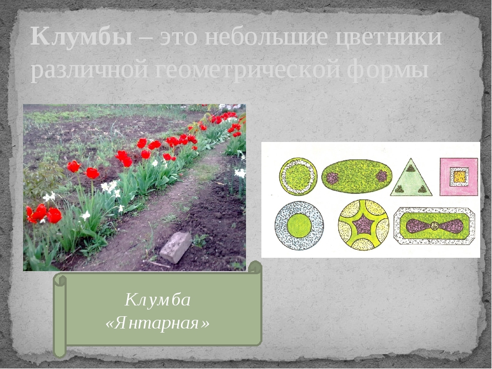 Клумба 1 класс. Орнамент школьной клумбы. Проект цветник пришкольного участка разной формы цветников. Геометрические клумбы 1 класс. Проект цветник пришкольной территории 1 класс.