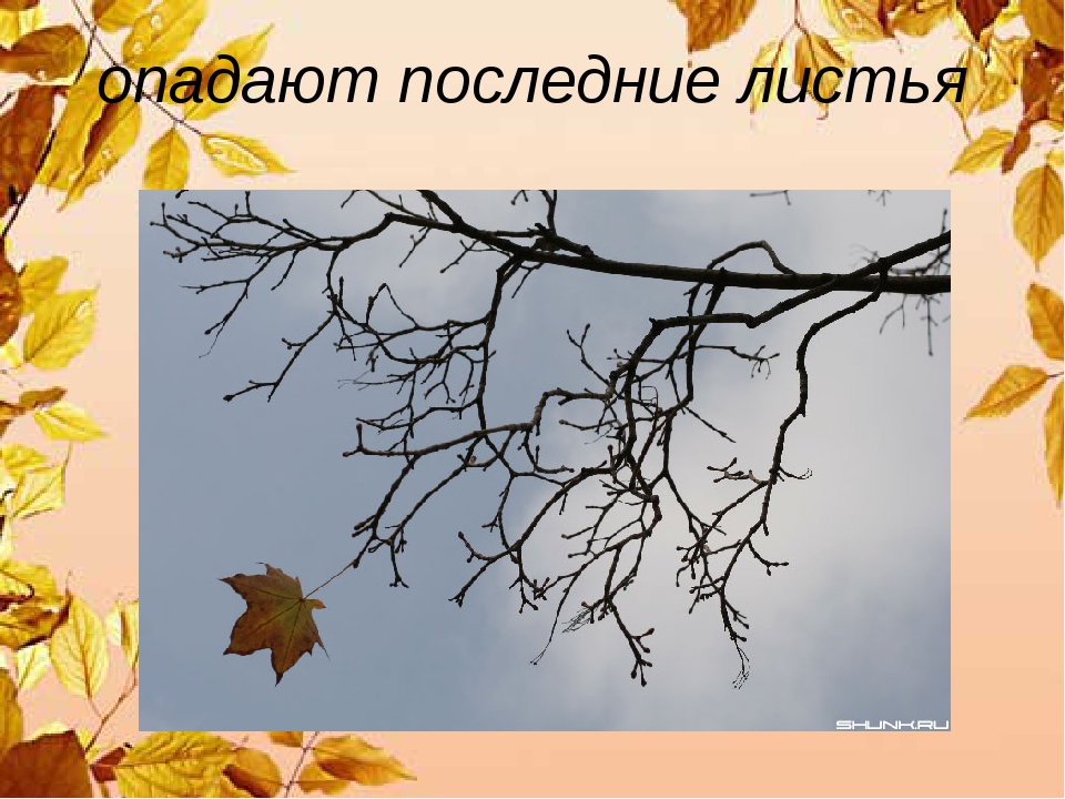 Рисунок опадают листья. Опадают последние листья. Последний лист стихи. Последний лист презентации. Презентация опавшие листья.