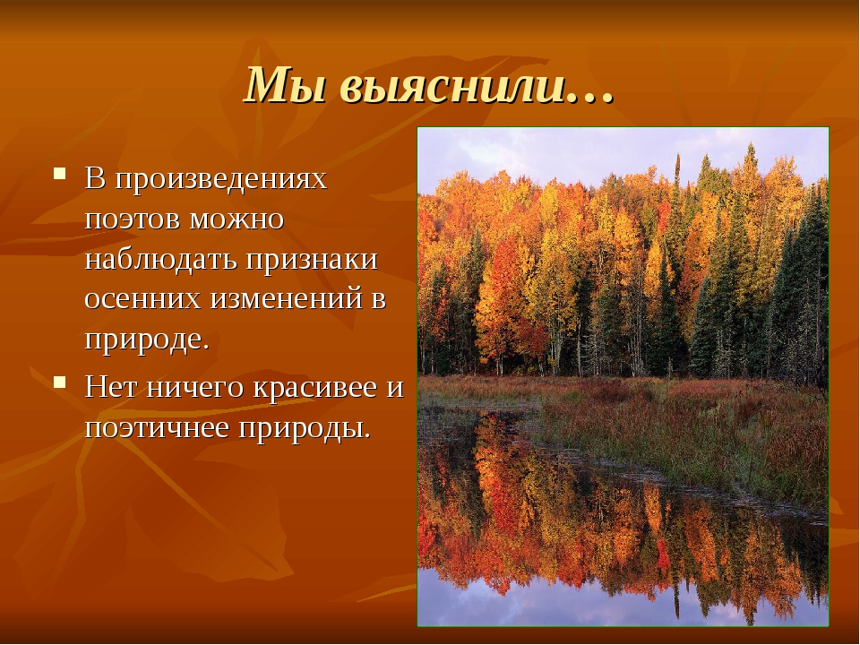 Изменение природы с приходом осени. Вывод про осень. Наблюдения за осенними явлениями в природе. Вывод об осенних изменениях в природе. Вывод по теме осень в природе.