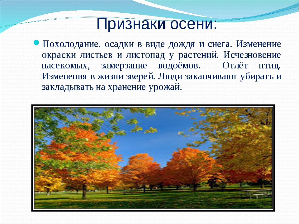 Какие признаки изменяются. Признаки осени. Осенние изменения в природе. Осенние признаки. Осень сезонные изменения.