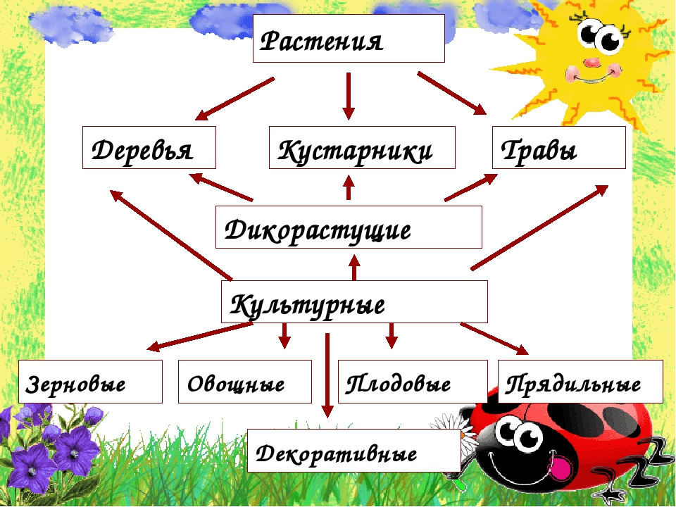 Культурные деревья примеры