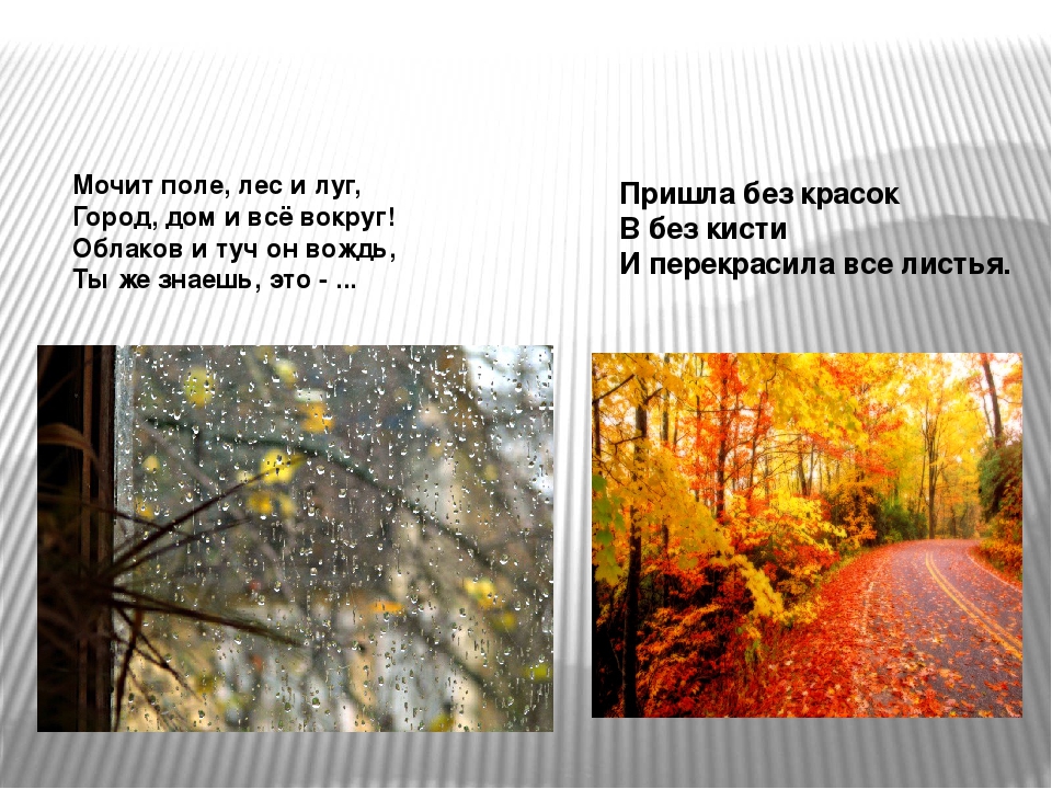 Осенние явления природы примеры. Осенние явления природы. Отчет по экскурсии осенние явления в природе. Осенние явления в природе отчет. Экскурсия по осени по биологии.