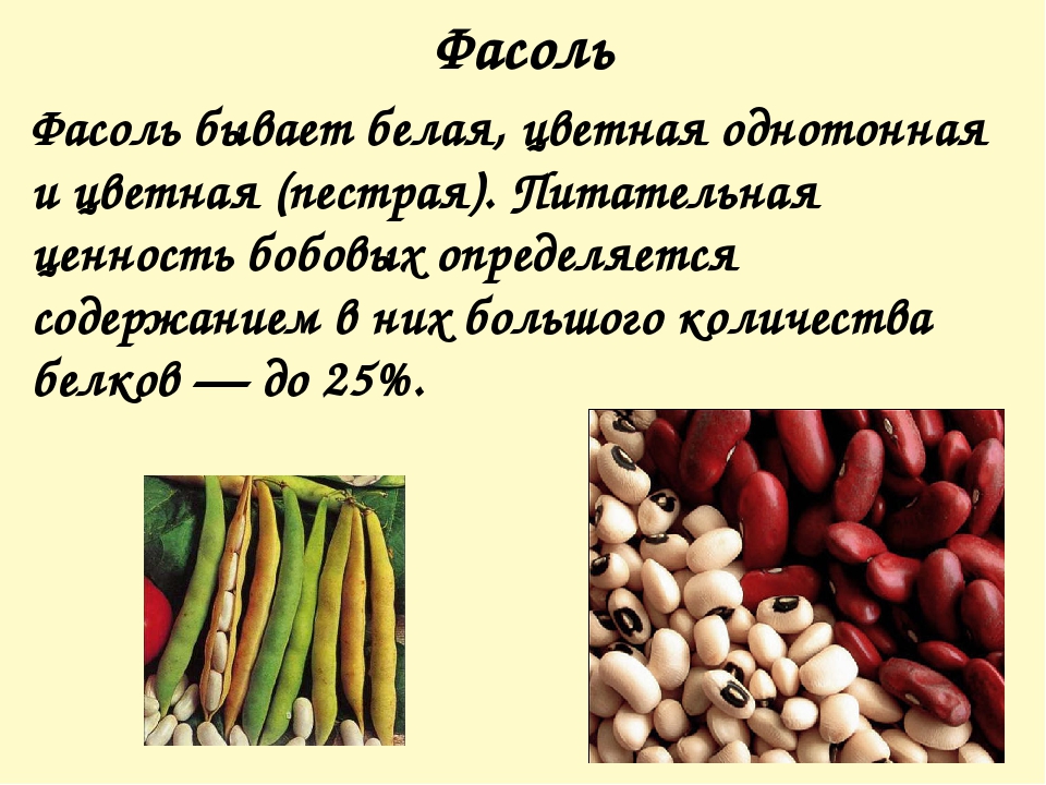 Чем полезна фасоль. Фасоль ценность. Фасоль пищевая ценность. Фасоль состав. Фасоль описание крупы.