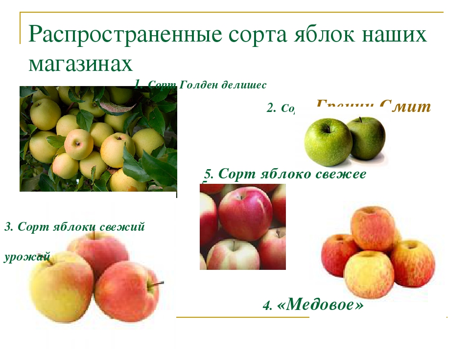 Сорта яблок в крыму фото и описание