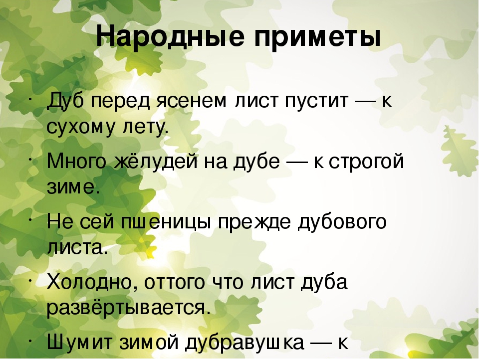 Места на примете. Народные приметы о дубе. Приметы про дуб. Народные приметы о дубе для детей. Особые приметы дуба.