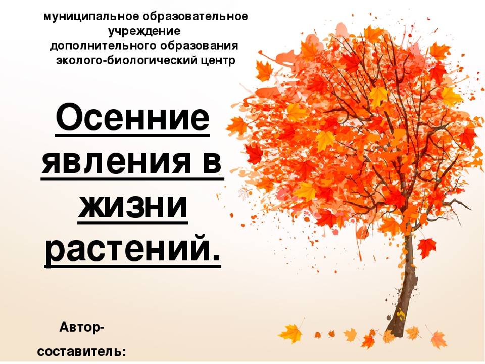 Осенние явления. Осенние явления в жизни трав. Осенние явления в жизни растений. Осенние изменения в жизни растений 5 класс. Осенние явления в жизни растений и животных.