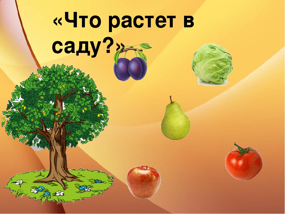 Что растет в саду. Игра что растет в саду. Картинка что растет в саду. Игра что растет на дереве.