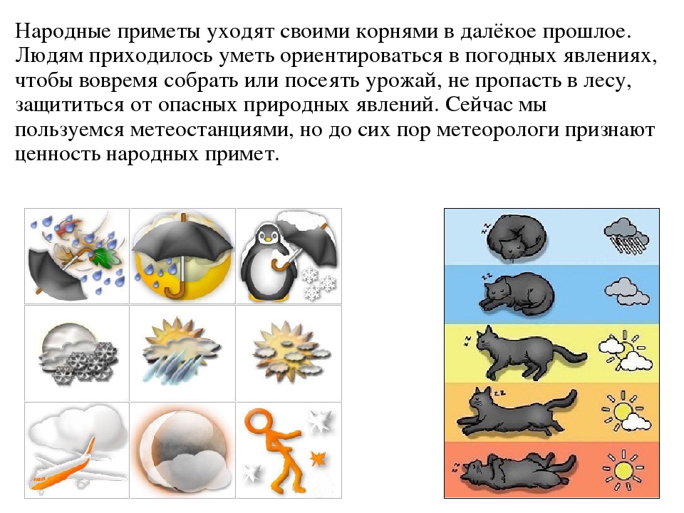 Прочитай приметы погоды запомни понаблюдай. Народные приметы. Народные погодные приметы. Приметы о погоде в картинках. Приметы погоды рисунок.