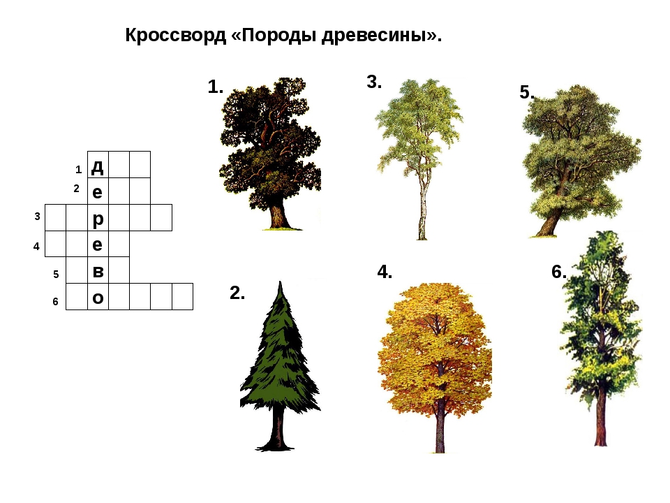 Тест 4 дерева. Деревья задания. Задания для детей на тему деревья. Деревья задания для дошкольников. Лиственные деревья задания.