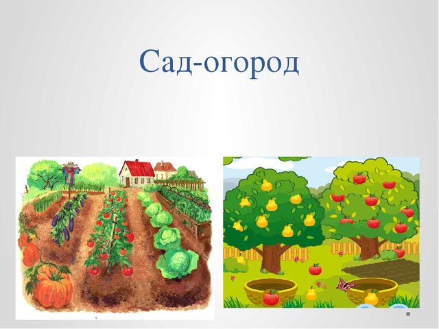 Картинка во саду ли в огороде для детского сада