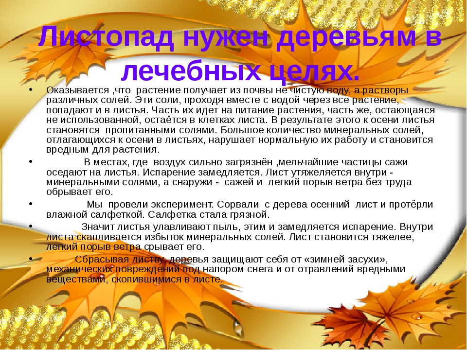 Сбросить листву. Почему опадают листья. Почему опадают листья осенью. Почему деревья сбрасывают листья. Почему листья опадают с деревьев.