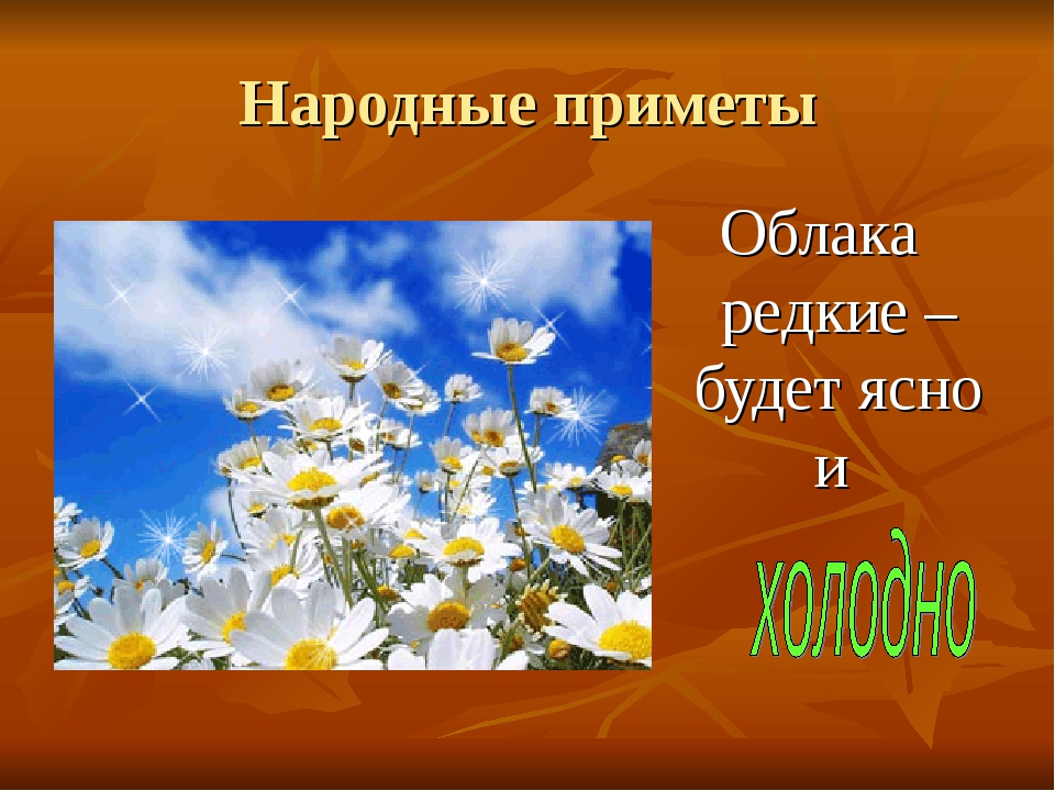 Приметы в мире природы. Народные приметы. Народные приметы рисунок. Рисунок на тему народные приметы. Фольклорные приметы.