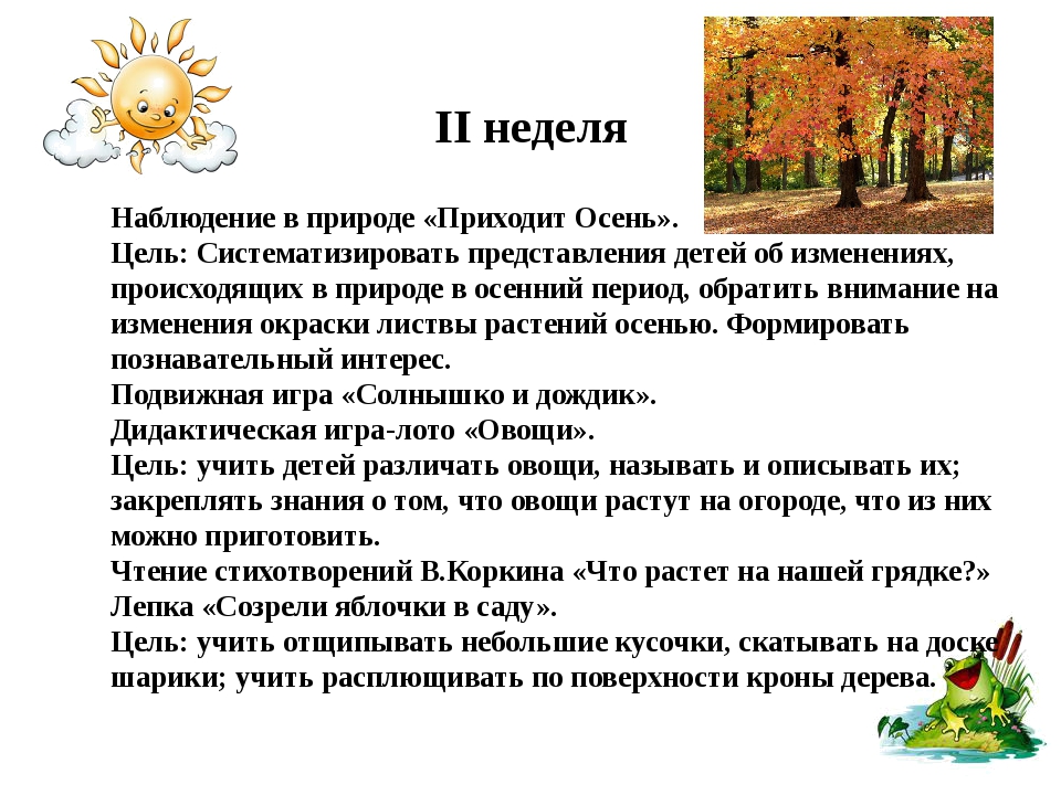 Наблюдения в природе осенью. Наблюдение за природой осенью. Другие наблюдения в природе. Другие наблюдения за природой осенью.