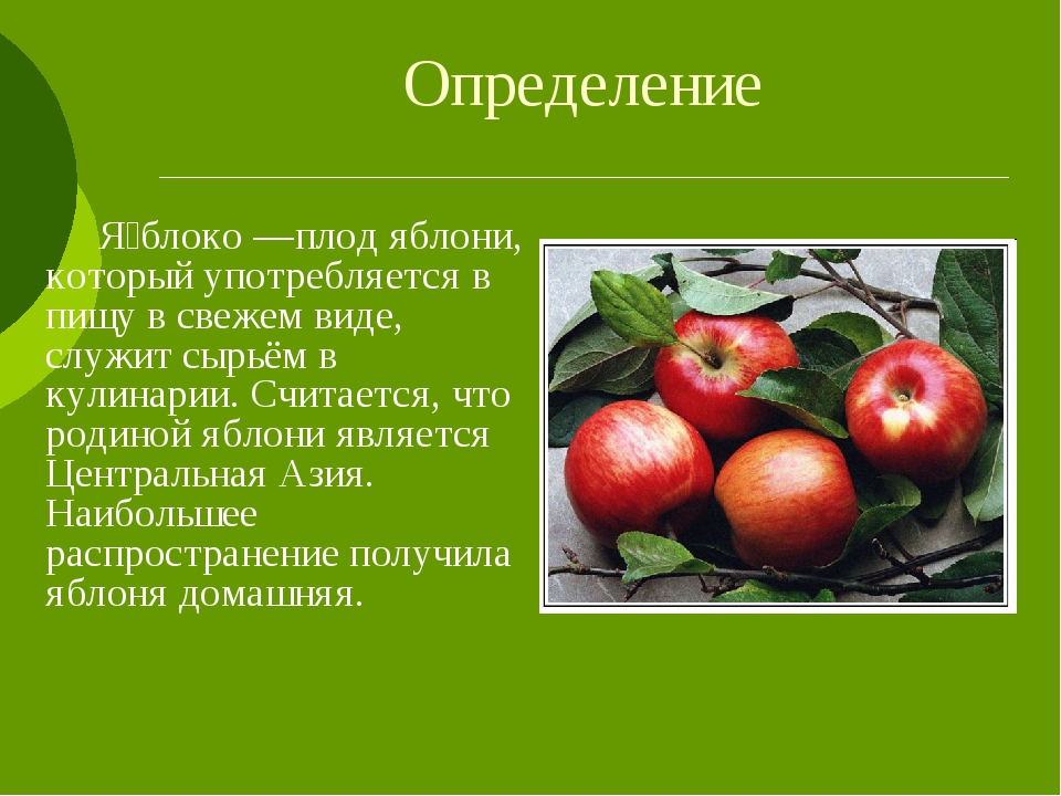 Яблоко краткое содержание. Яблоко для презентации. Доклад про яблоню. Яблоня для презентации. Сообщение о яблоке.