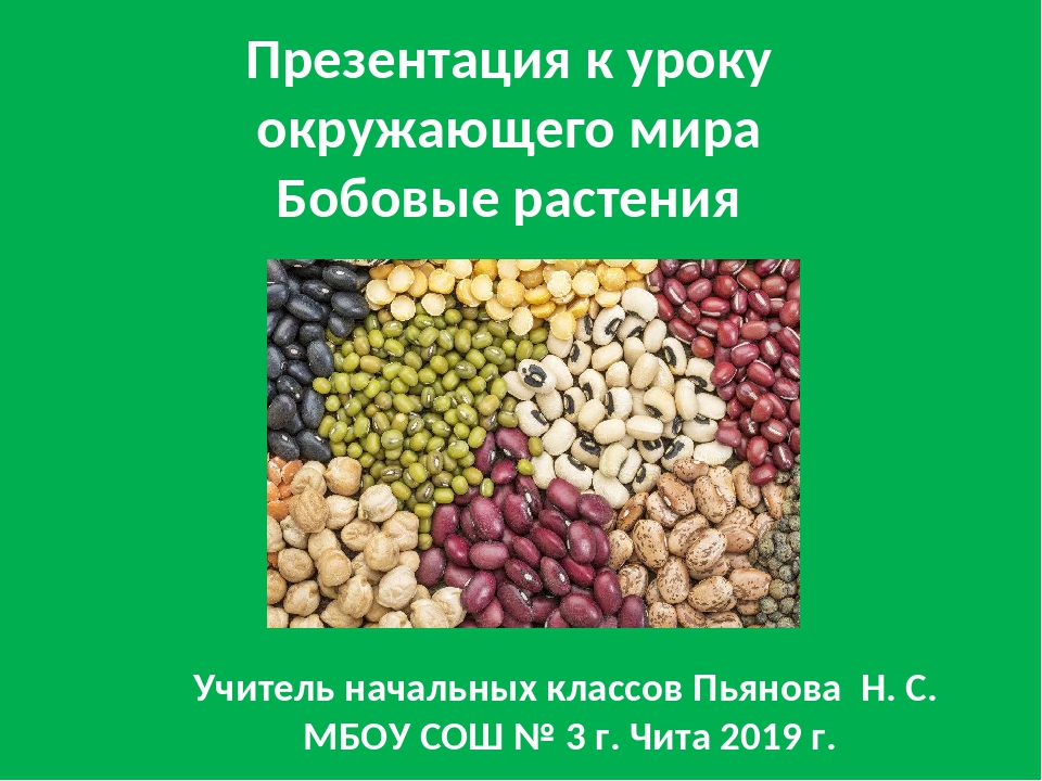 Бобовая культура 6 букв. Бобовые культуры. Зернобобовые культуры для презентации. Зерновые бобовые культуры. Зернобобовыевые культуры презентация.