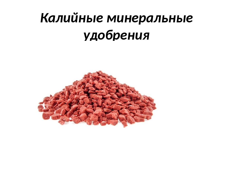 Калийные соли относятся к. Калийные Минеральные удобрения. Сырье калийных удобрений. Калийные удобрения химия. Калийные удобрения это Минеральные удобрения.