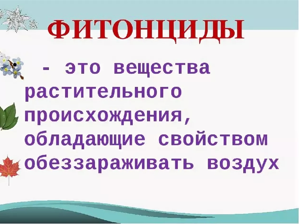 Фитонциды это. Фитонциды это вещества. Фитонциды презентация. Фитонциды растительного происхождения.