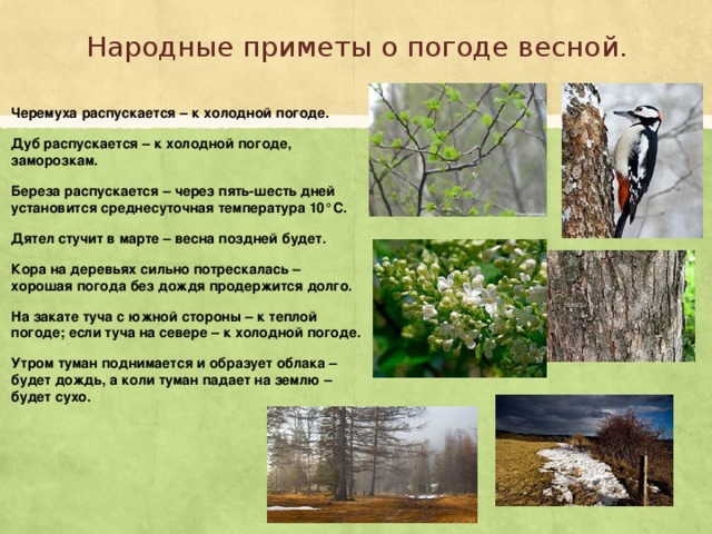 Приметы на погоду народные. Народные приметы о погоде вечной. Народные приметы о погоде весной. Весенние приметы. Приметы весны в природе.