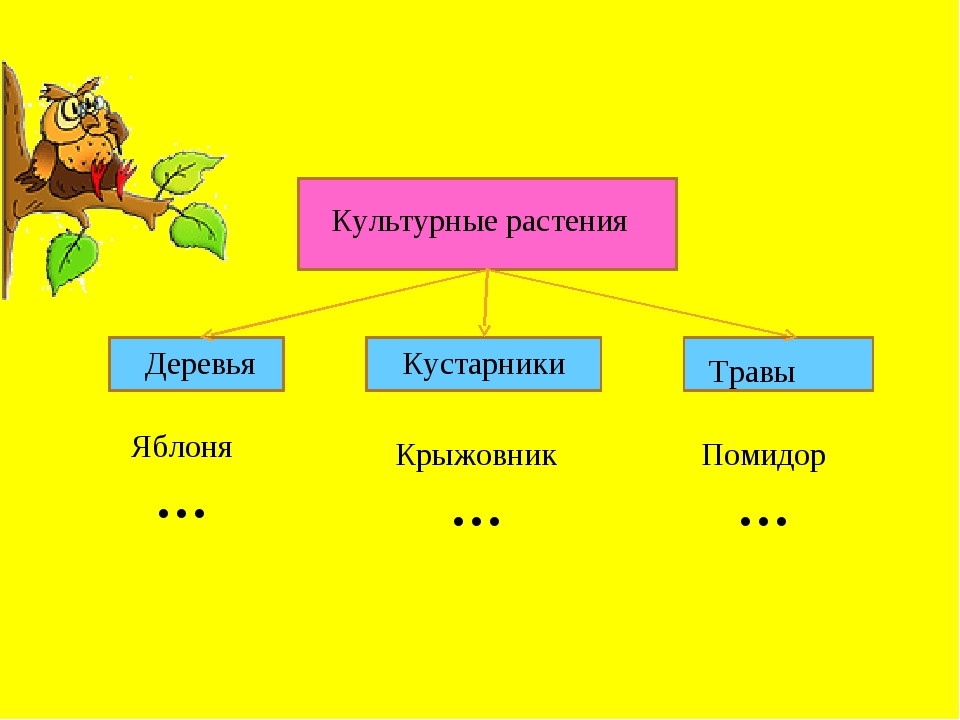 Культурные травянистые. Дикорастущие и культурные растения деревья кустарники травы. Культурные кустарники. Культурные растения кустарники. Культурные деревья.