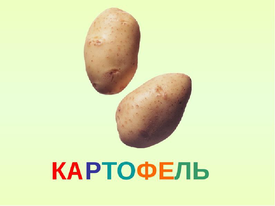 Картошка огурец помидоры. Карточки овощи картошка. Овощи для детей картошка. Овощи картинки для детей картофель. Картинка картофель с надписью.