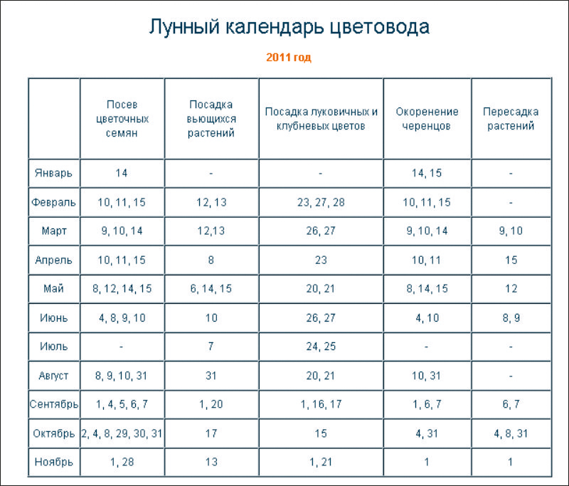 Пересадка комнатных растений в феврале 2024