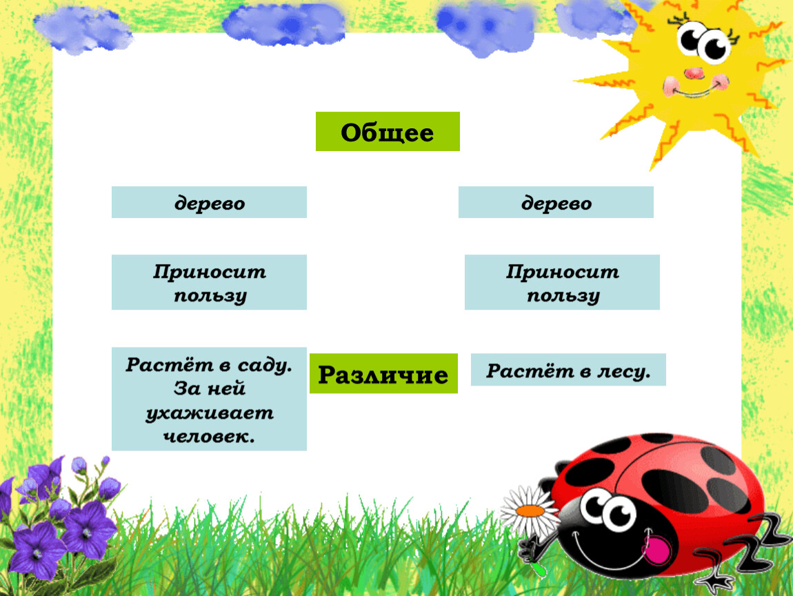 Культурные деревья. Деревья дикорастущие и культурные. Дикорастущие и культурные деревья России. Дикорастущие и культурные деревья 2 класс окружающий мир.