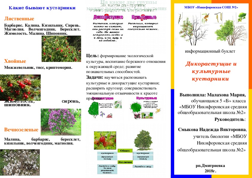 Какие есть кустарники. Культурные кустарники примеры. Дикорастущие кустарники названия список. Дикорастущие кустарники в Саратовской обл..