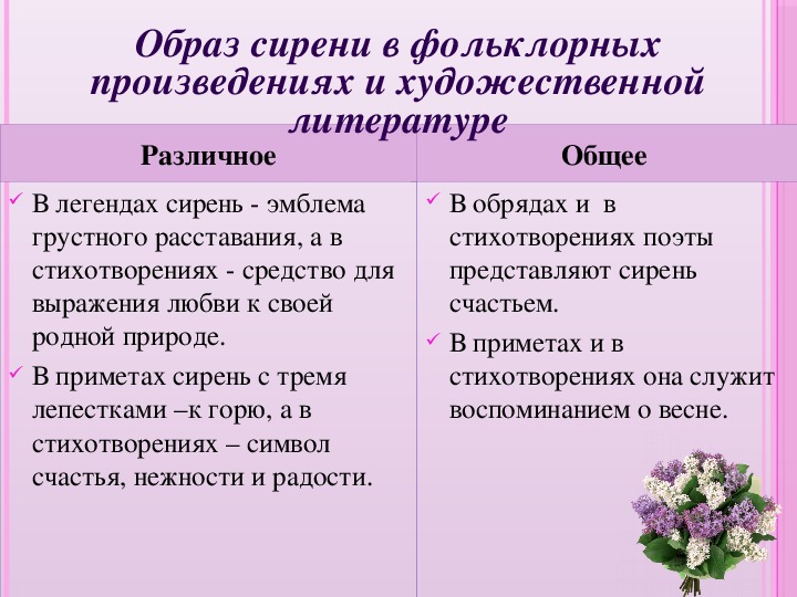 Куст сирени содержание