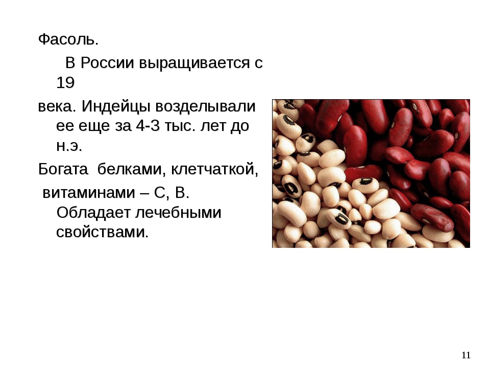 Фасоль польза и вред. Фасоль в России. Классификация фасоли. Районы возделывания фасоли. Где растет фасоль в России.