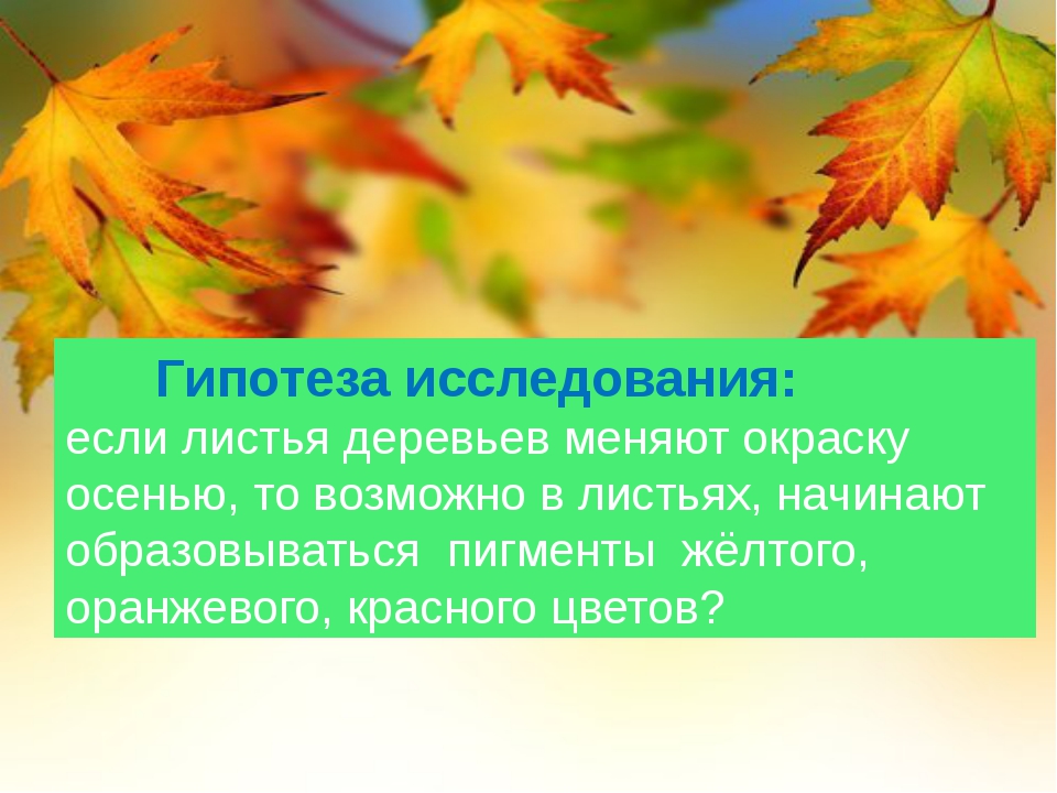 Почему листья