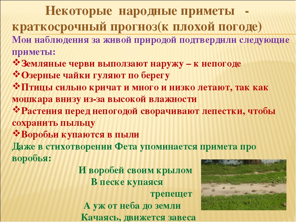 Народные приметы о погоде. Народные приметы о смене погоды. Народные приметы указывающие на перемену погоды. Народные приметы с помощью которых можно предсказать погоду.