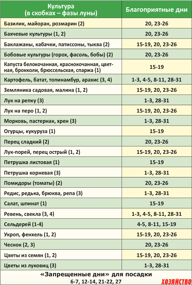 Благоприятные дни в ноябре для пересадки цветов. Благоприятные дни для посадки цветов. Благоприятные дни для посадки лука. Благоприятные дни для посадки семян. Благоприятные дни для посадки чеснока.