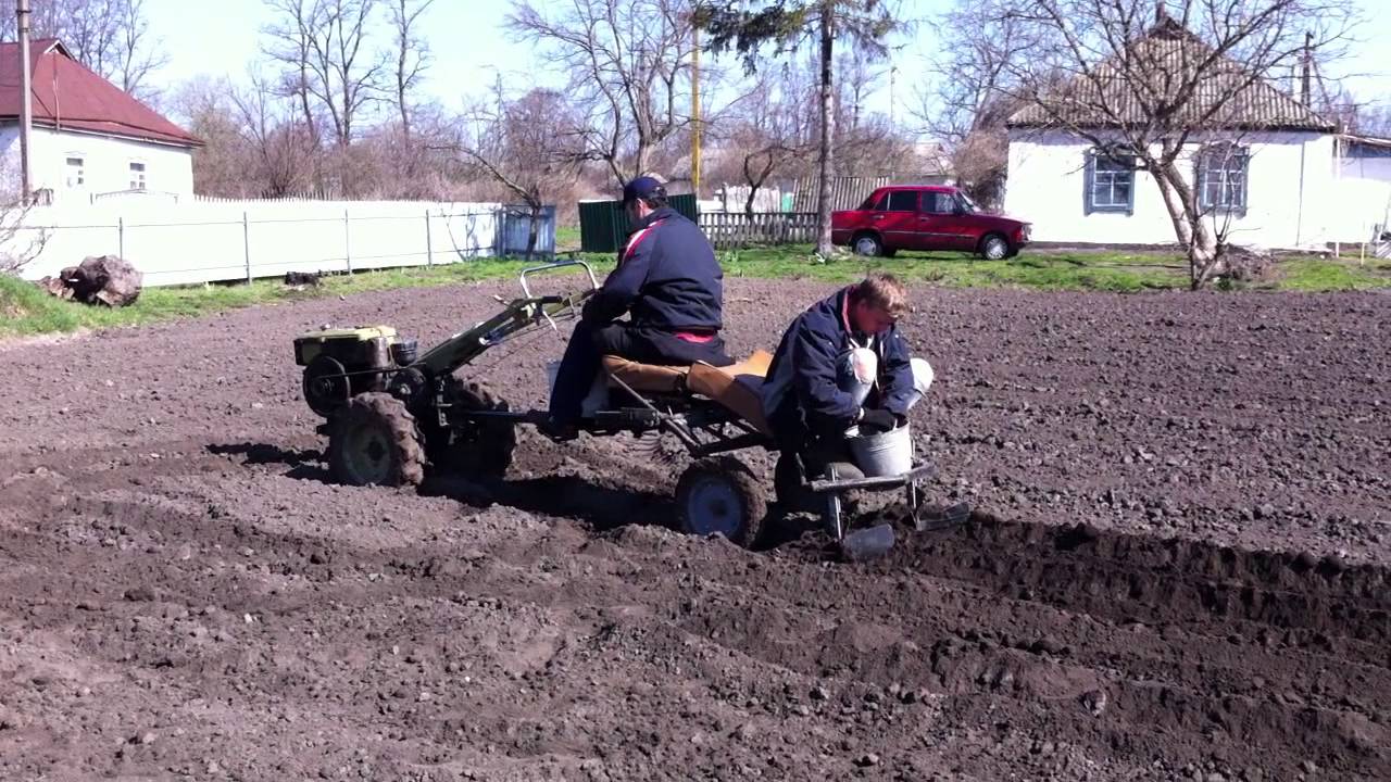 Сажаем под мотоблок. Картошка под мотоблок. Сажание картошки под мотоблок. Посадка картофеля мотоблоком. Посадка картофеля под мотоблок.