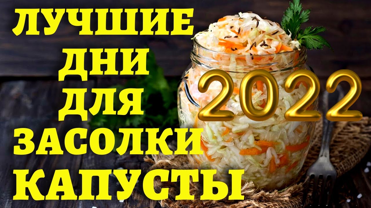 Когда лучше солить капусту. Календарь для засолки капусты. Голова Садовая 2022 соление капусты хорошие дни ноябрь. Лунный календарь на 2022 для квашения капусты.