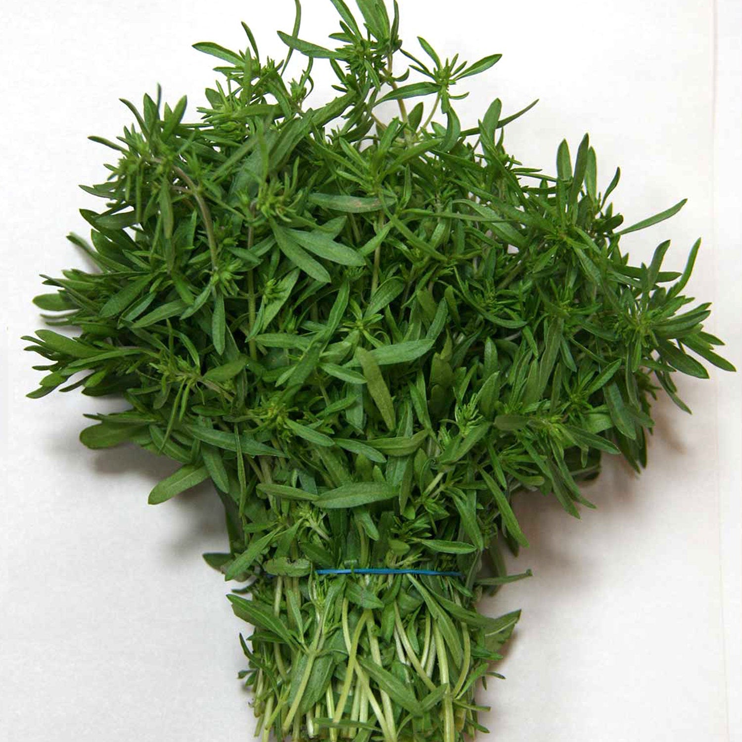 Кондари приправа по русски как называется фото - Тоши Суши