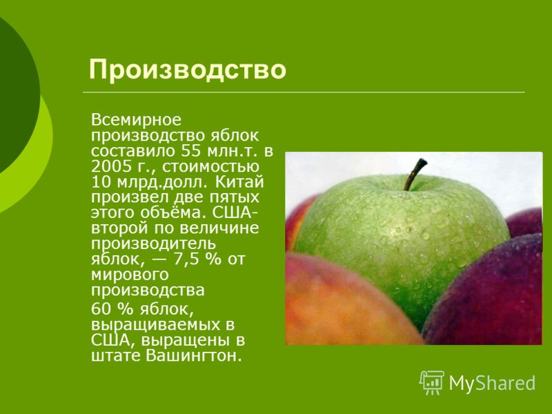 Презентация яблоня. Яблоко для презентации. Презентация на тему яблоко. Сообщение о яблоке. Доклад о яблоке.