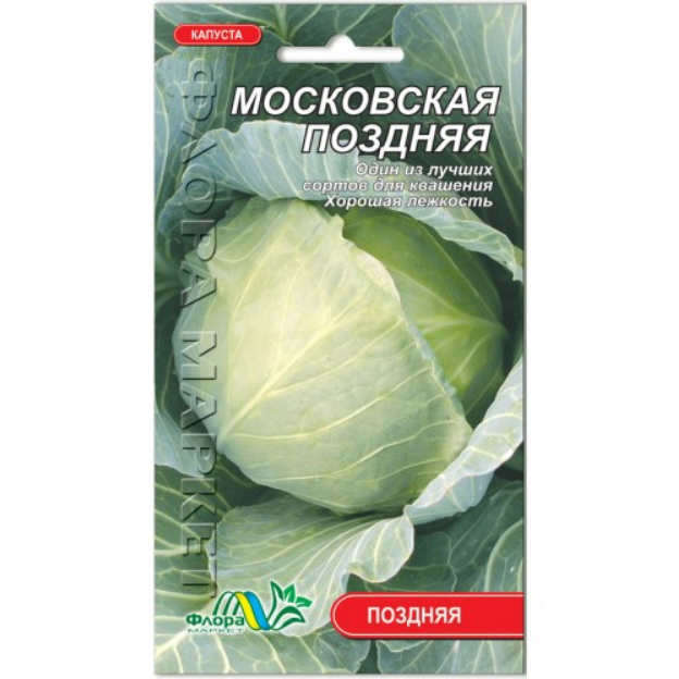 Капуста московская поздняя описание сорта отзывы. Капуста Московская семена. Капуста Московская зимняя. Капуста поздняя. Капуста Московская поздняя описание.