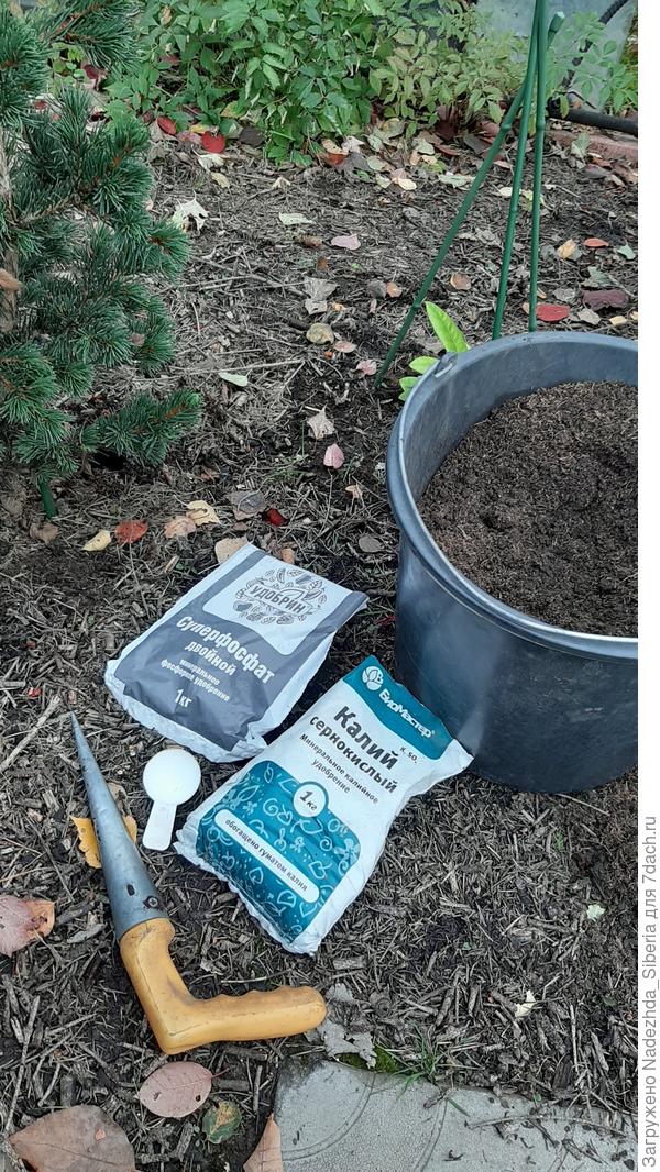 подкормка деревьев. каким удобрением сыпать мурихванну. удобрение из древесной золы. пепел от дерева как удобрение. зола состав удобрения древесная.