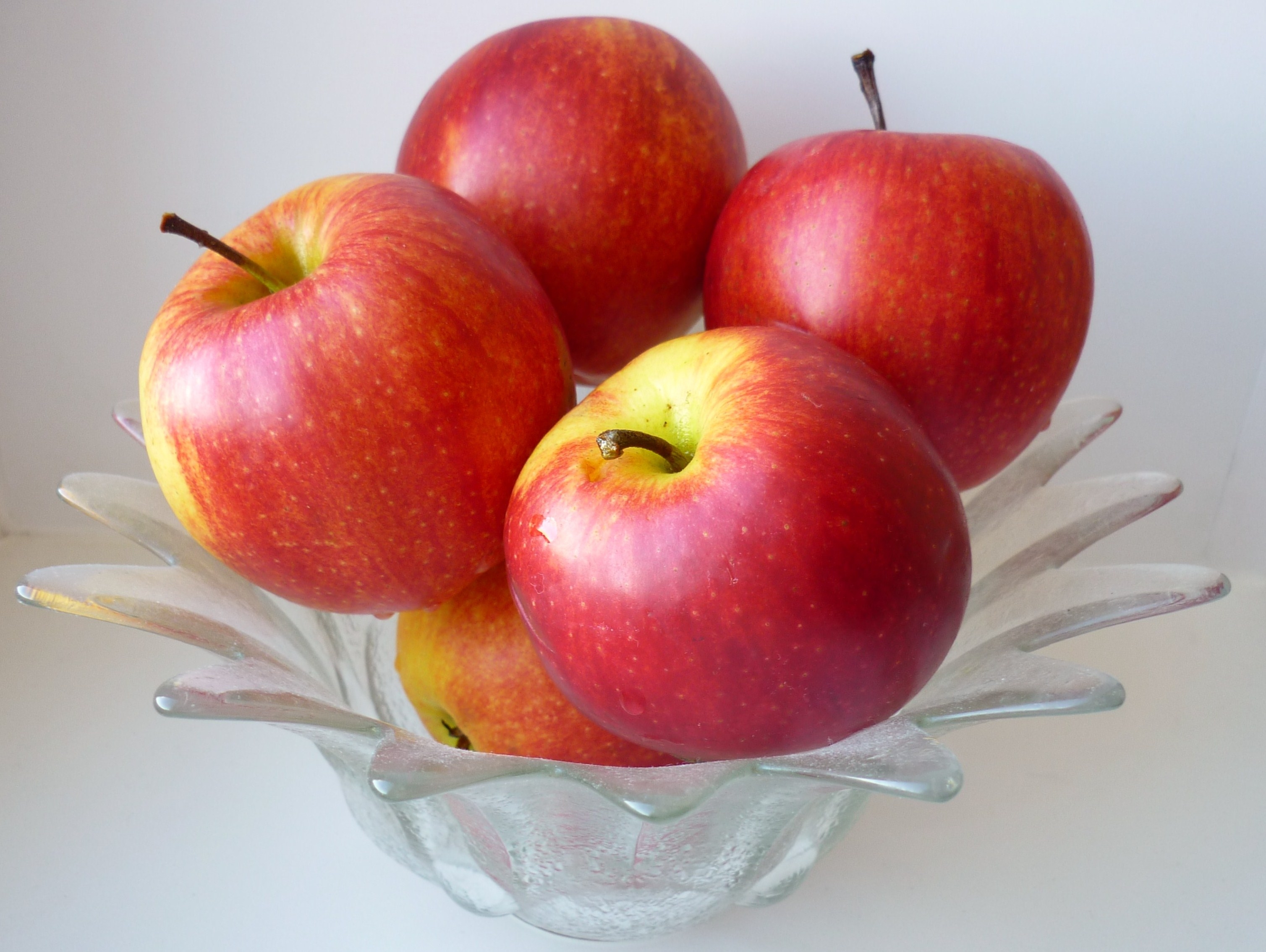 Яблочный спас описание сорта. Сорт яблок Яблоневый спас. Яблоки превосходные. Румяное яблоко. Сорт яблок превосходный.