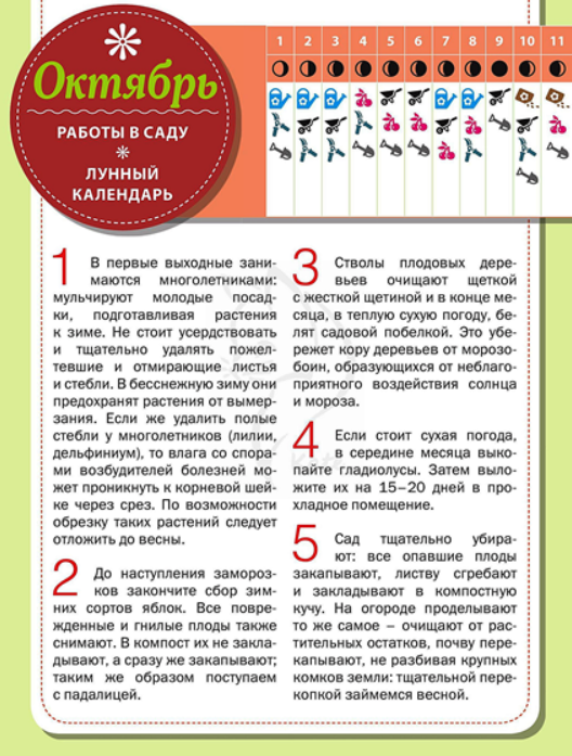 Календарь садовода на октябрь. Обозначение знаков зодиака в лунном календаре огородника.