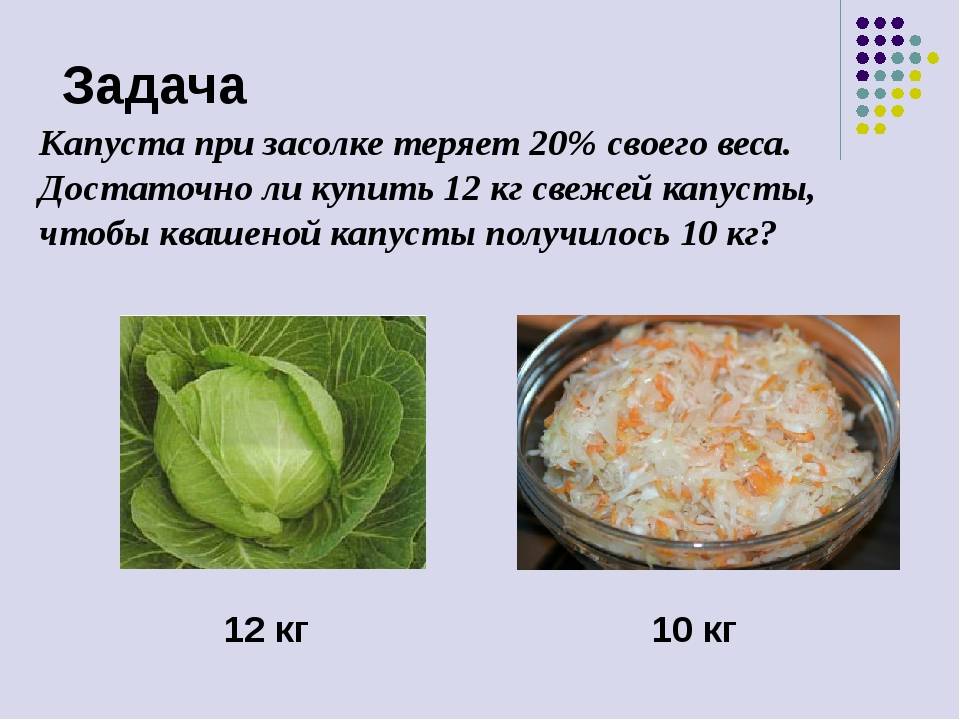 Засолка капусты сколько соли на 1 кг. Задача про капусту. Капуста задания. Задание ЕГЭ про капусту. Капуста при онкологии.