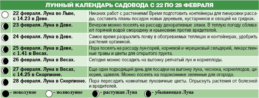 Что можно сажать на убывающей Луне. Можно ли сажать на убывающей Луне. Посадка овощей при убывающей Луне. На растущую луну сажают.