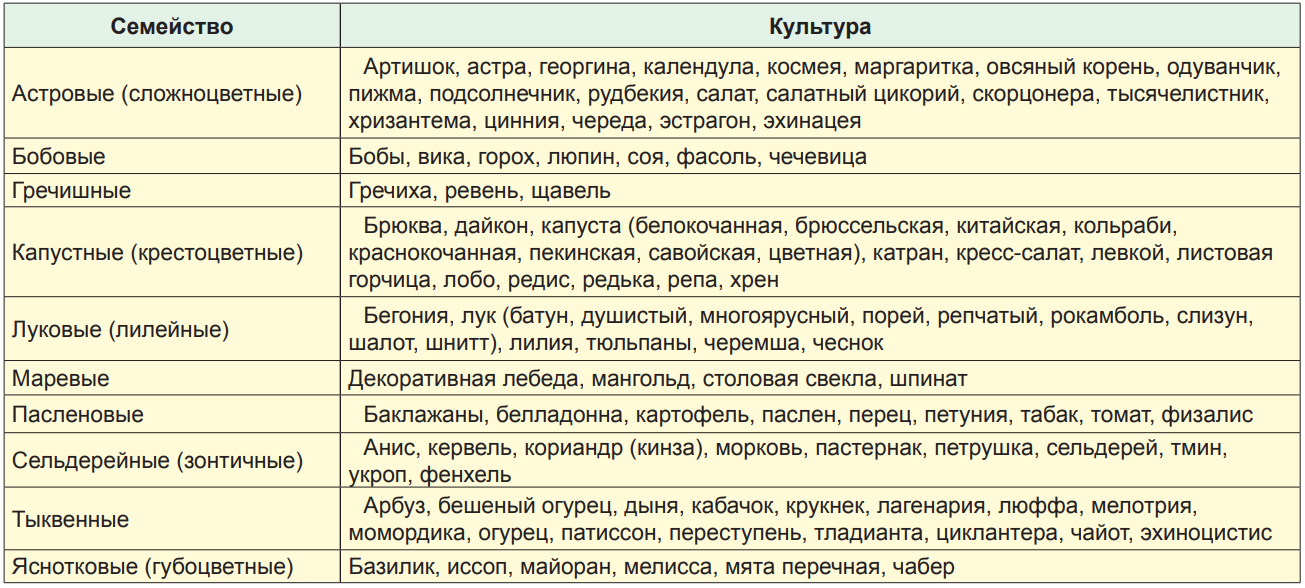 Севооборот на огороде что после чего. Севооборот фасоли. севооборот табака. мята в севообороте. севооборот на огороде что после чего можно.