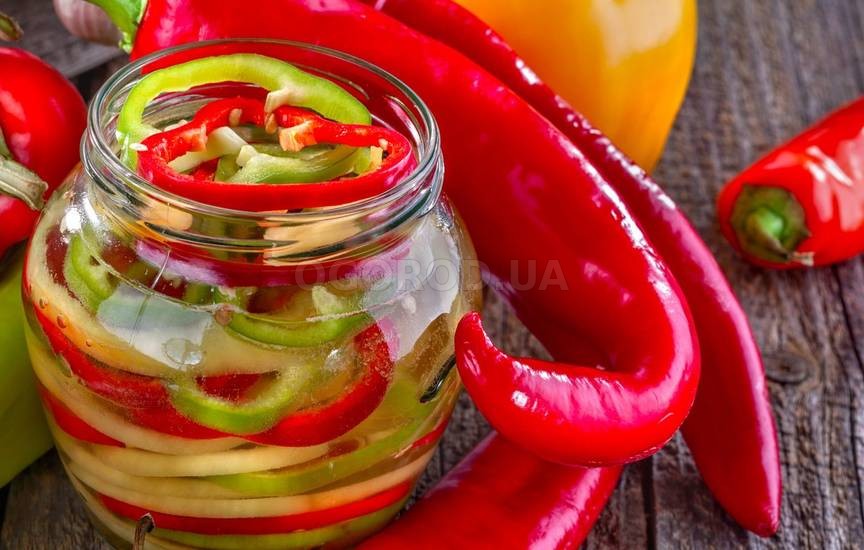 Какой из перцев сладкий. Сладкий чили с болгарским перцем. Какой из перцев сладкий. Консервированный острый перец. Перец болгарский атлант.