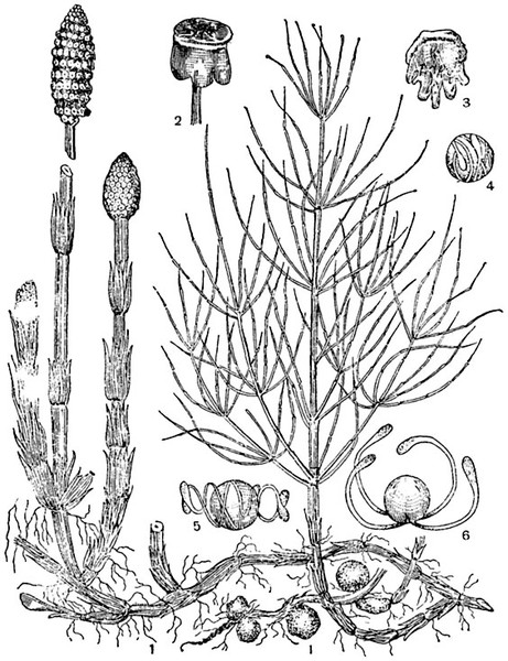 50954fe467cdee919d8950cf737d9f4d i 708