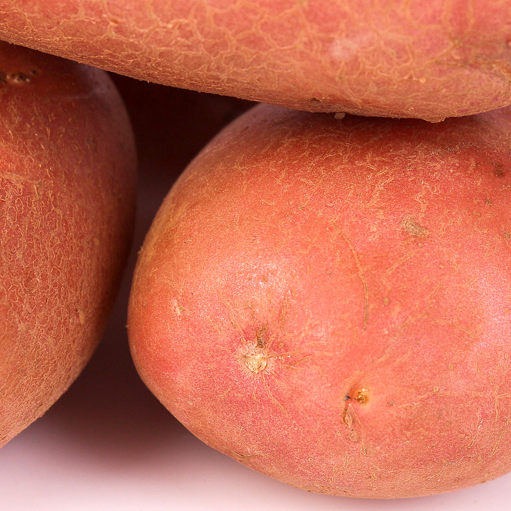 Картофель округлой формы. Сорт картошки Накра. Картофель красный сорта. Красная картошка сорт. Картофель розовый сорта.