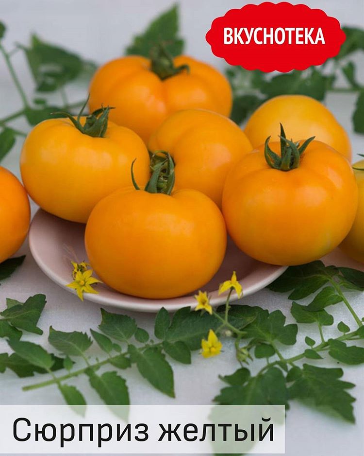 гибриды желтых томатов. томаты черри оранжевые. томат перун f1. гибриды желтых томатов. сахар желтый ф1 томат.
