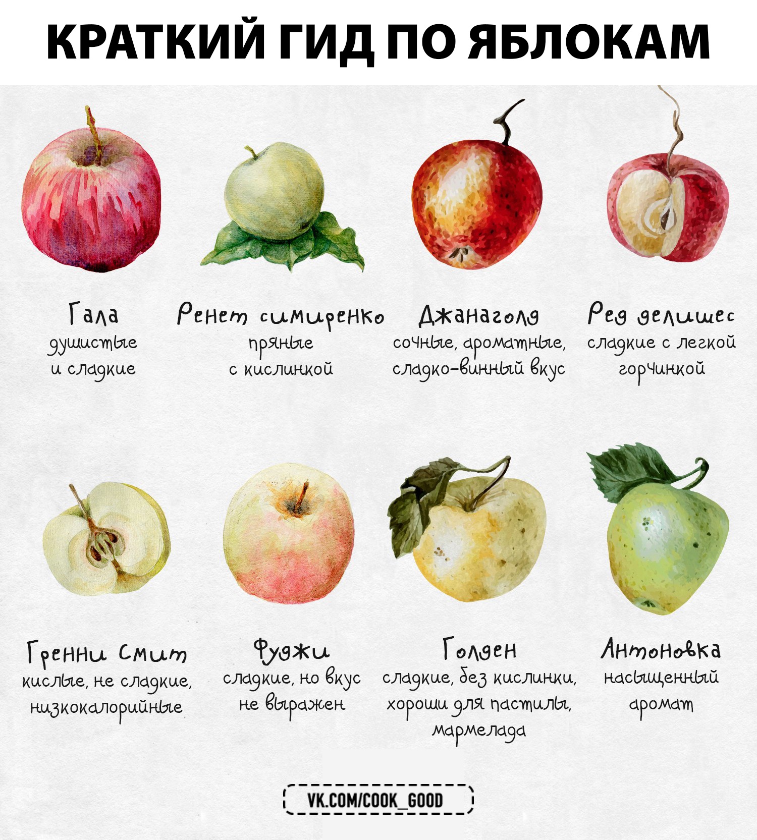 Хорошее яблоко на русском. Название яблок. Сорта яблок названия. Сорта яблок в картинках с названиями. Разные сорта яблок название.