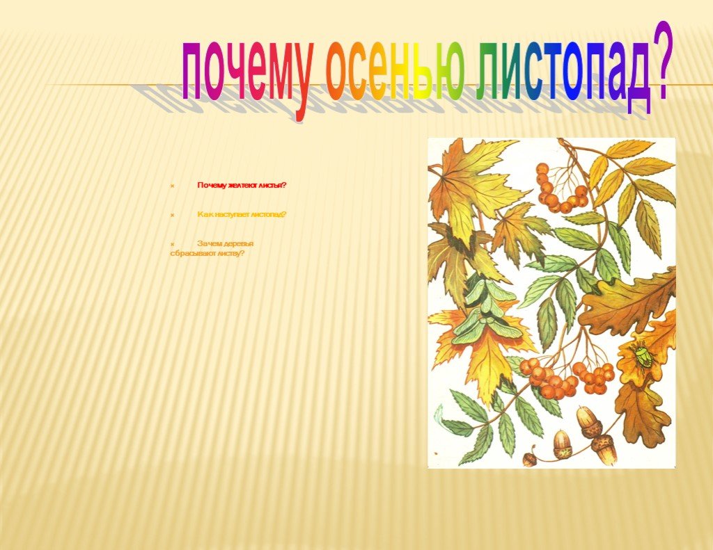 Листопад корень. Презентация листопад. Слайд листопад. Наступил листопад. Листопад причины листопада.