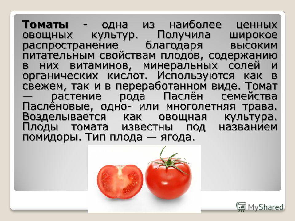 bbe44ff1319a1eb3849a73f19edb9eba